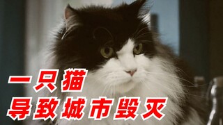【神反转】一只猫咪竟导致城市毁灭！！！