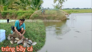 Ra đồng chài không ngờ trúng được bầy cá