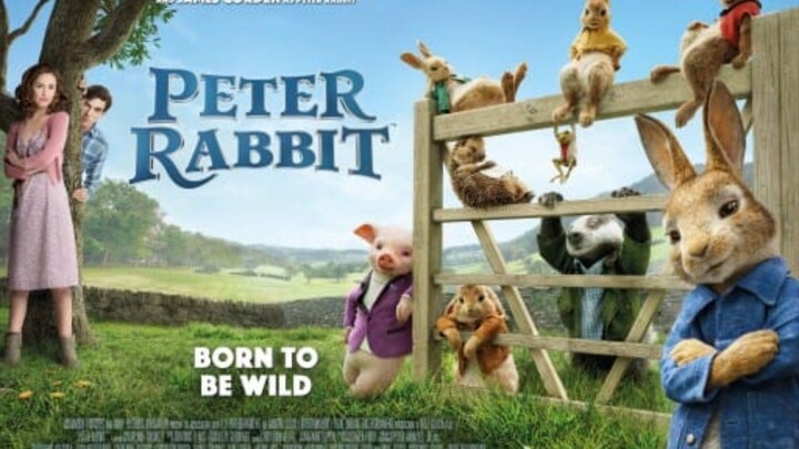 Peter Rabbit || Peter Dan Thomas Berdamai ‼️🔥