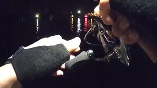 阿姨们送的泥鳅我还是喜欢的