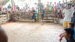 Pure Lemon Banahaw win at Port Barton