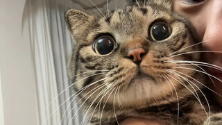 Sudah selesai, saya positif...