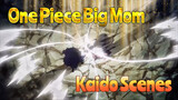Big Mom VS Kaido | One Piece