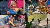 বাবার বাড়ি দ্বিতীয় দিন // ১৮ বছর পর বাবার বাড়ির ফল খেলাম // Ms Bangladeshi Vlogs ll