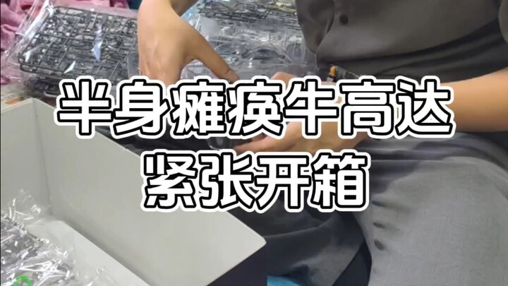 半身瘫痪的牛高达开箱了，没想到它竟然漏油了……