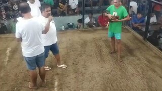 Shiloh pavilion alen roundhead win