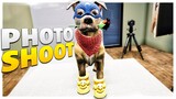 PHOTO SHOOT // Animal Photo Studio is Too Cute // Animal Shelter Simulator