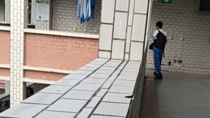 Sudah semester pertama kelas dua SMA, teman sekamar mengatakan bahwa nilainya sangat bagus, lalu den