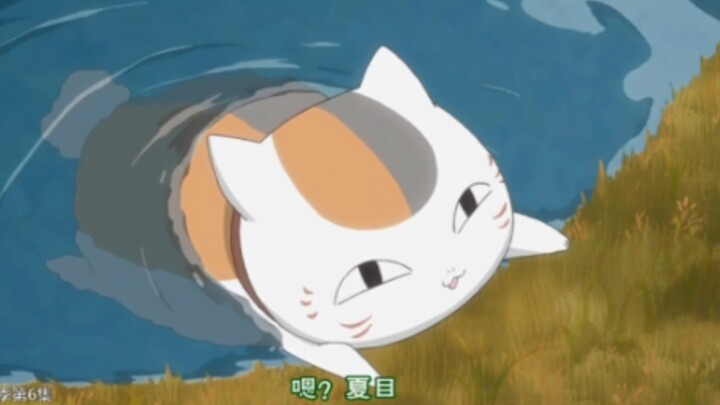 当夏目不见了之后~猫咪老师忙死了~~