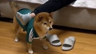 If you don't work hard, you'll become a man's plaything.