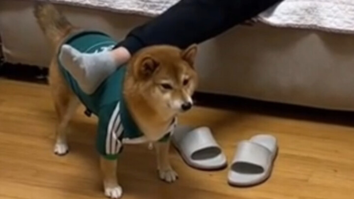 If you don't work hard, you'll become a man's plaything.