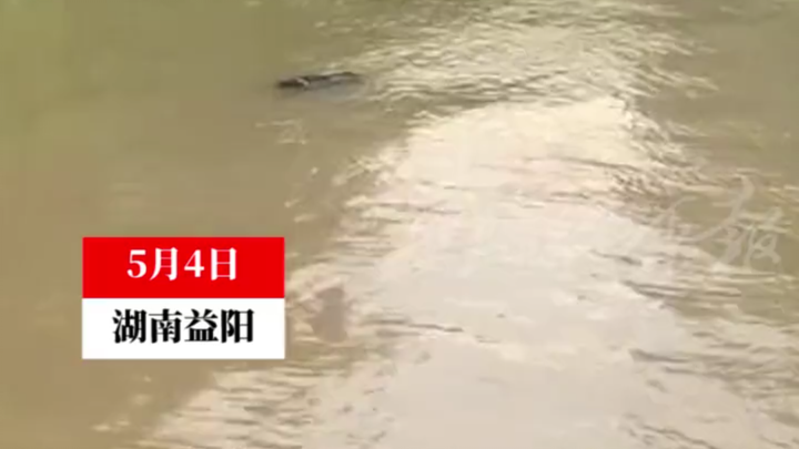 Boy Drowns, Floating on the Water—Northeast Brother Jumps In Without Hesitation to Save Him, Exhaust