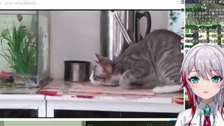 Japanese natural girl watches "Good Head": It's so funny. Let's watch it again