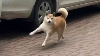 今天心情挺好