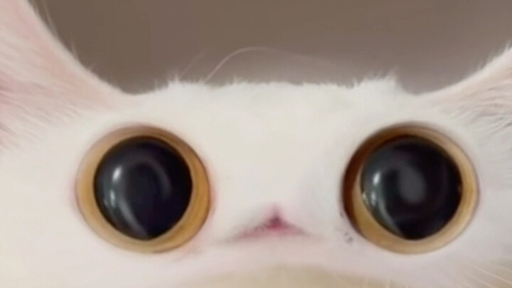tấn công meep