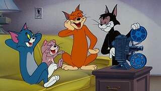 【Mèo và Chuột】☝🤓 Lịch sử đen tối của Tom⚡⚡⚡