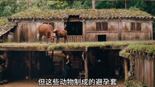 «الووشيا»: ظننتُ أنها ضرورة درامية، لكن اتضح أن كل هذا علم حديث