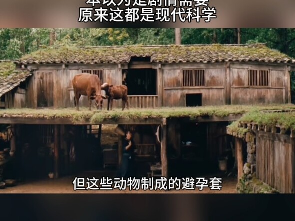 «الووشيا»: ظننتُ أنها ضرورة درامية، لكن اتضح أن كل هذا علم حديث