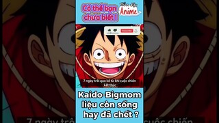 Kaido-Bigmom còn sống hay đã chết #onepiece #shorts