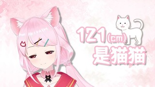 【杂谈】今天我是猫，OK？