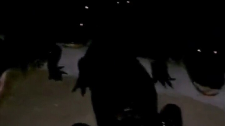 Fishing at night, you can catch everything except fish