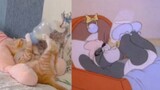 "Seperti yang kita ketahui bersama, Tom and Jerry bukan sekadar kartun melainkan dokumenter"