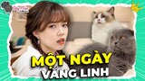 01 Ngày Không Có Linh của mấy ĐUỸ MÈO "Thành Tinh" | ĐUỸ MÈO COLLECTION #7