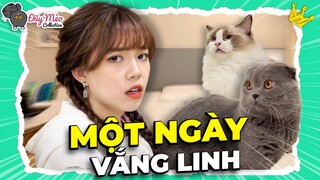 01 Ngày Không Có Linh của mấy ĐUỸ MÈO "Thành Tinh" | ĐUỸ MÈO COLLECTION #7