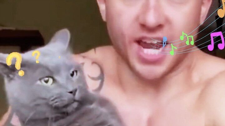 The Cat Stunned by the Song