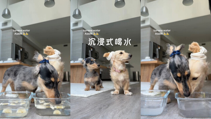 Uống nước nhập vai 🥣