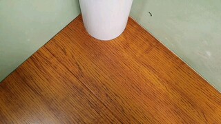 Sàn nhà tạo nên góc hoàn hảo