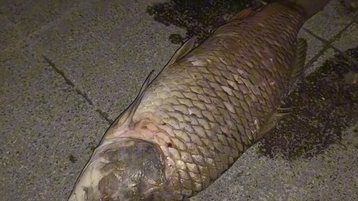 Những lời nhận xét sắc bén về ảnh chụp trong phần bình luận!