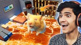 Hamster Real Life MINECRAFT PRISON MAZE In Hindi