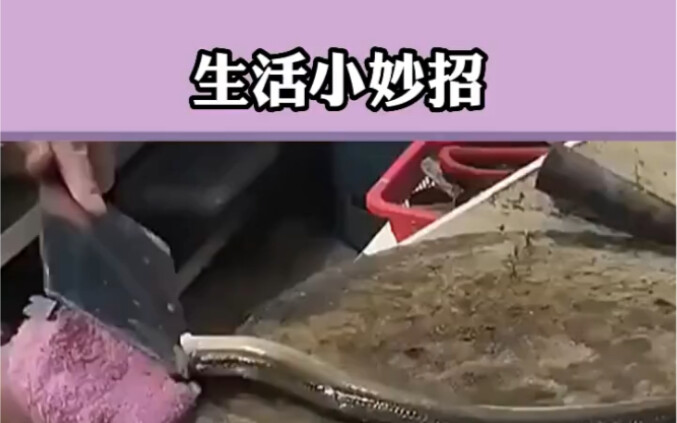 Share some handy tips from everyday life—hit that like button and save it if you like it!