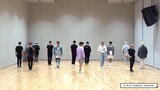 SEVENTEEN - Ready to love Dance Practice (Mirrored)