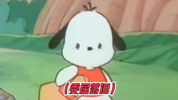 Tahu nggak sih, bagaimana Paca Dog menghapus air matanya? Kok bisa bilang hal yang begitu menyakitka