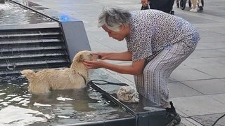 "It's the little dog placed right at the tip of my heart!"