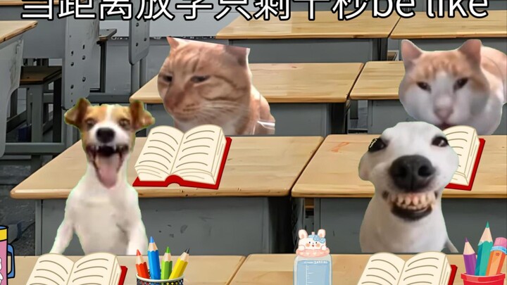 当距离放学只剩十秒be like