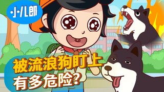 课本上学不到的知识！学会能保命！