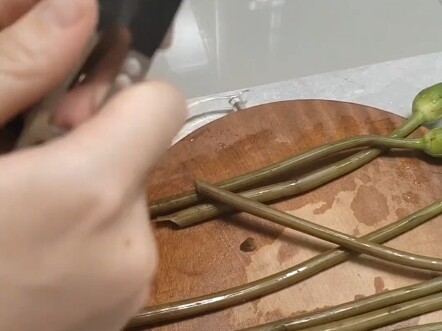 บัวสายตื่นดอก