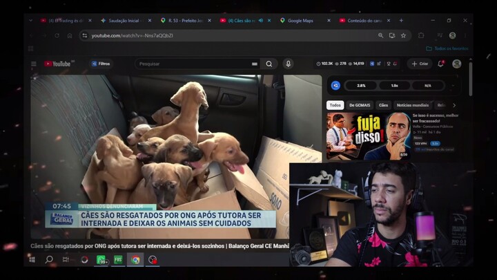 12 CÃES RESGATADOS E VEJA O PORQUE CHEGARAM NESSA