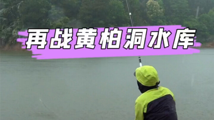 العودة إلى خزان هوانغبو دونغ