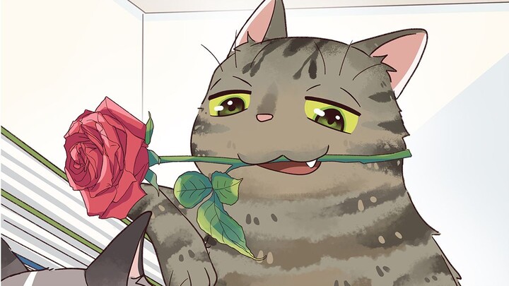 Hóa ra trong thế giới mèo cũng có “hội yêu cái đẹp”!