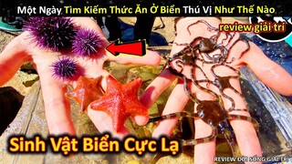 Một Ngày Tìm Kiếm Thức Ăn Ở Biển Toàn Sinh Vật Độc Lạ Và Thú Vị || Review Giải Trí Đời Sống