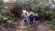 law of the jungle(sumatra) ep 261 sub indo