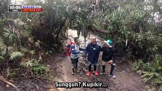 law of the jungle(sumatra) ep 261 sub indo