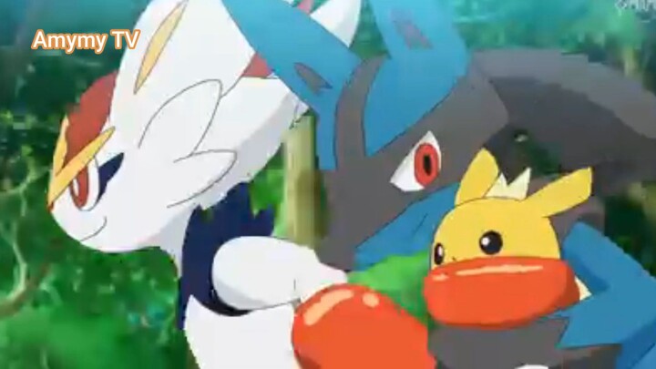 Pocket Monsters 2019 (Ep 48.2) Đuổi theo băng Rocket #PocketMonsters2019