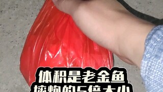 มันน่าโมโหจริงๆ ทุกอย่างมันน่าโมโหไปหมด