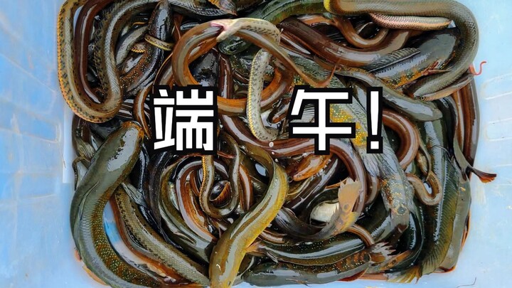 Wishing you a safe and happy Dragon Boat Festival, everyone! Starting today, we’re diving into the P