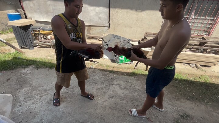 Spar